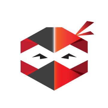 Cyber Ninja Logo